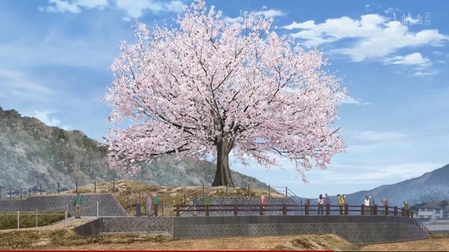 The Lone Sakura at Wani-zuka
